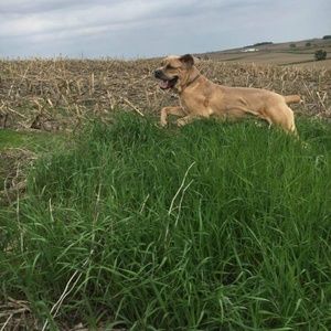 Meet your Posher, Camelle